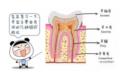 牙周炎专题：预防大于治疗